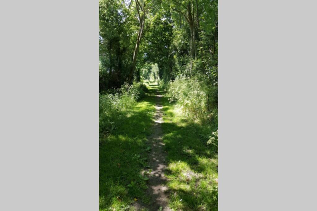 Gite Du Bocage Buysscheure Exterior foto
